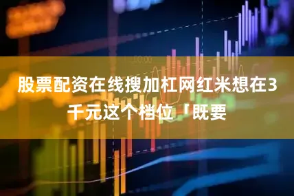 股票配资在线搜加杠网红米想在3千元这个档位「既要
