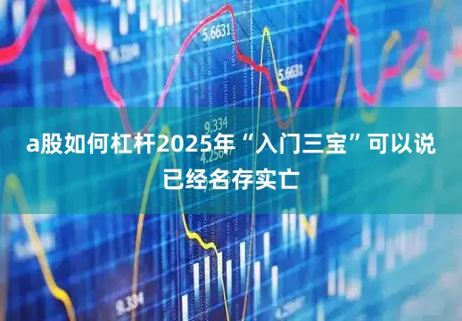 a股如何杠杆2025年“入门三宝”可以说已经名存实亡