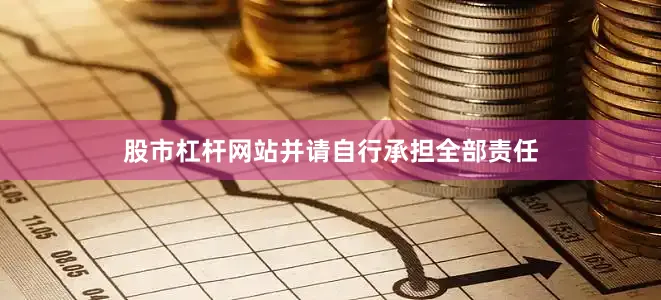 股市杠杆网站并请自行承担全部责任