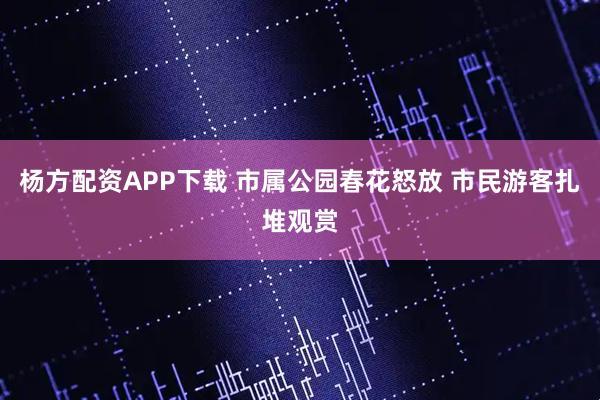 杨方配资APP下载 市属公园春花怒放 市民游客扎堆观赏
