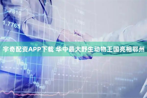 宇奇配资APP下载 华中最大野生动物王国亮相鄂州